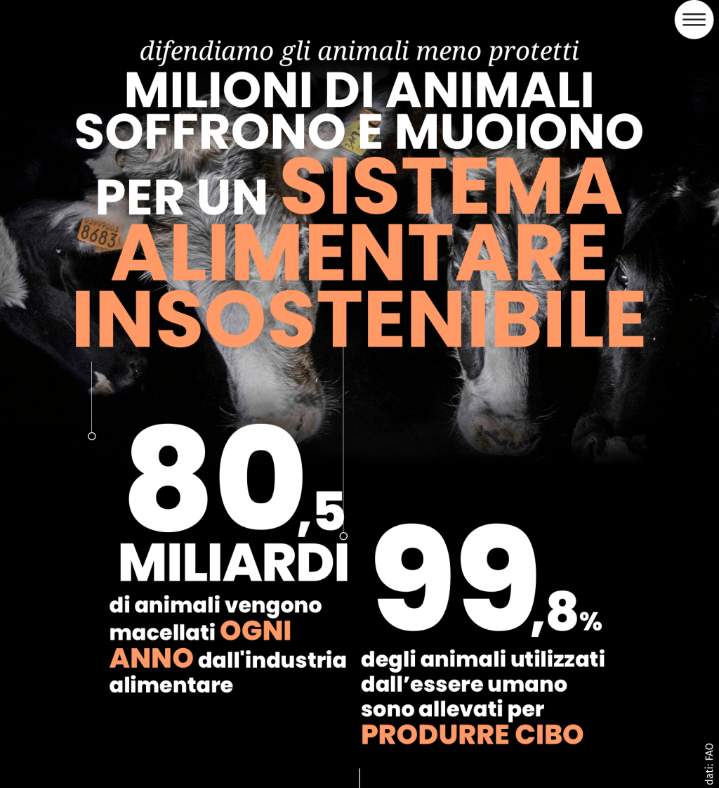 Call me all the names you want – I won’t stop telling the truth about livestock&nbsp;farming